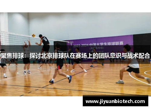 聚焦排球：探讨北京排球队在赛场上的团队意识与战术配合