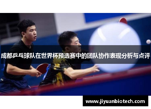 成都乒乓球队在世界杯预选赛中的团队协作表现分析与点评