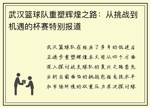武汉篮球队重塑辉煌之路：从挑战到机遇的杯赛特别报道