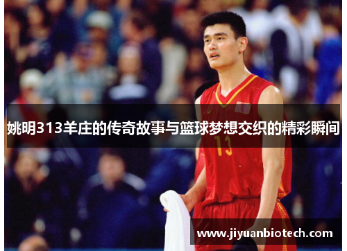 姚明313羊庄的传奇故事与篮球梦想交织的精彩瞬间