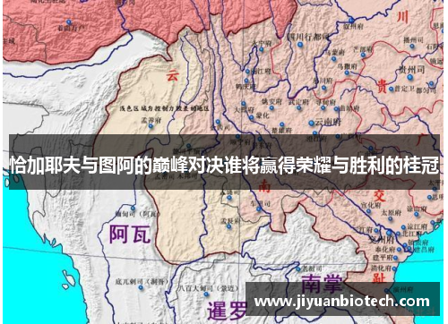 恰加耶夫与图阿的巅峰对决谁将赢得荣耀与胜利的桂冠
