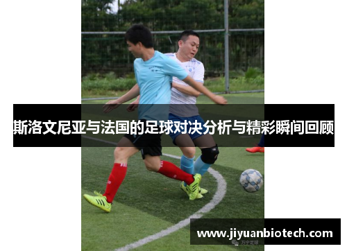 斯洛文尼亚与法国的足球对决分析与精彩瞬间回顾